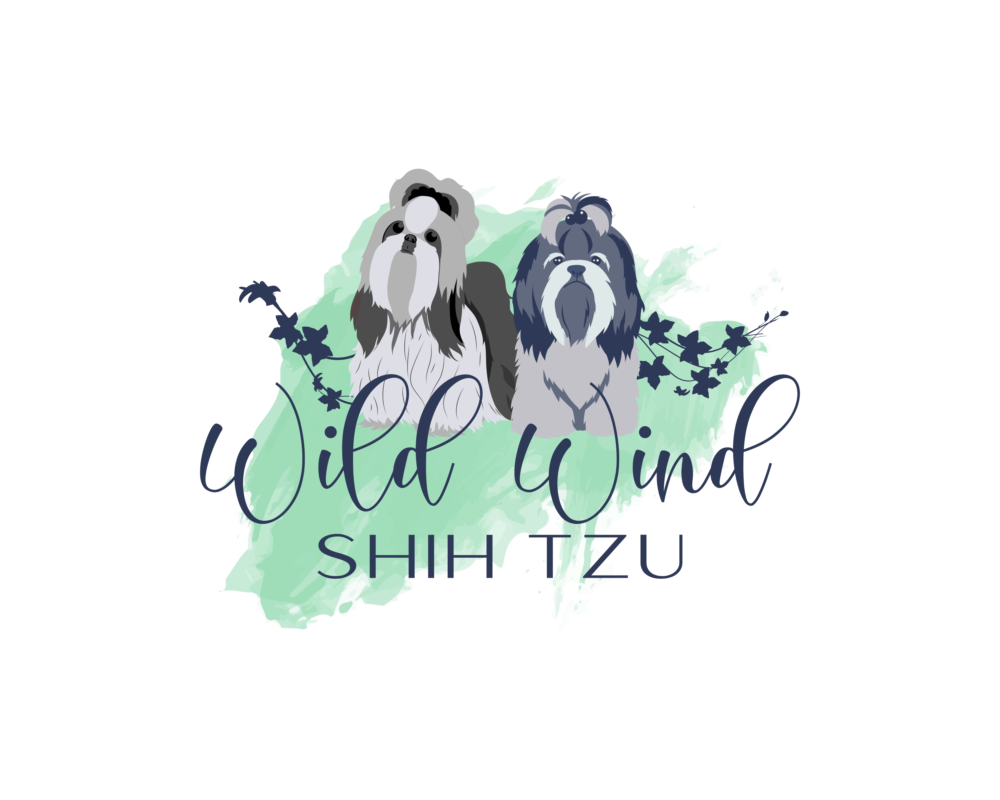 Wild Wind Shih Tzu